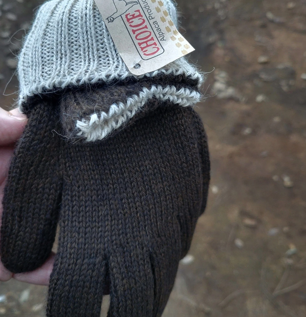Double-Thick Reversible Gloves
