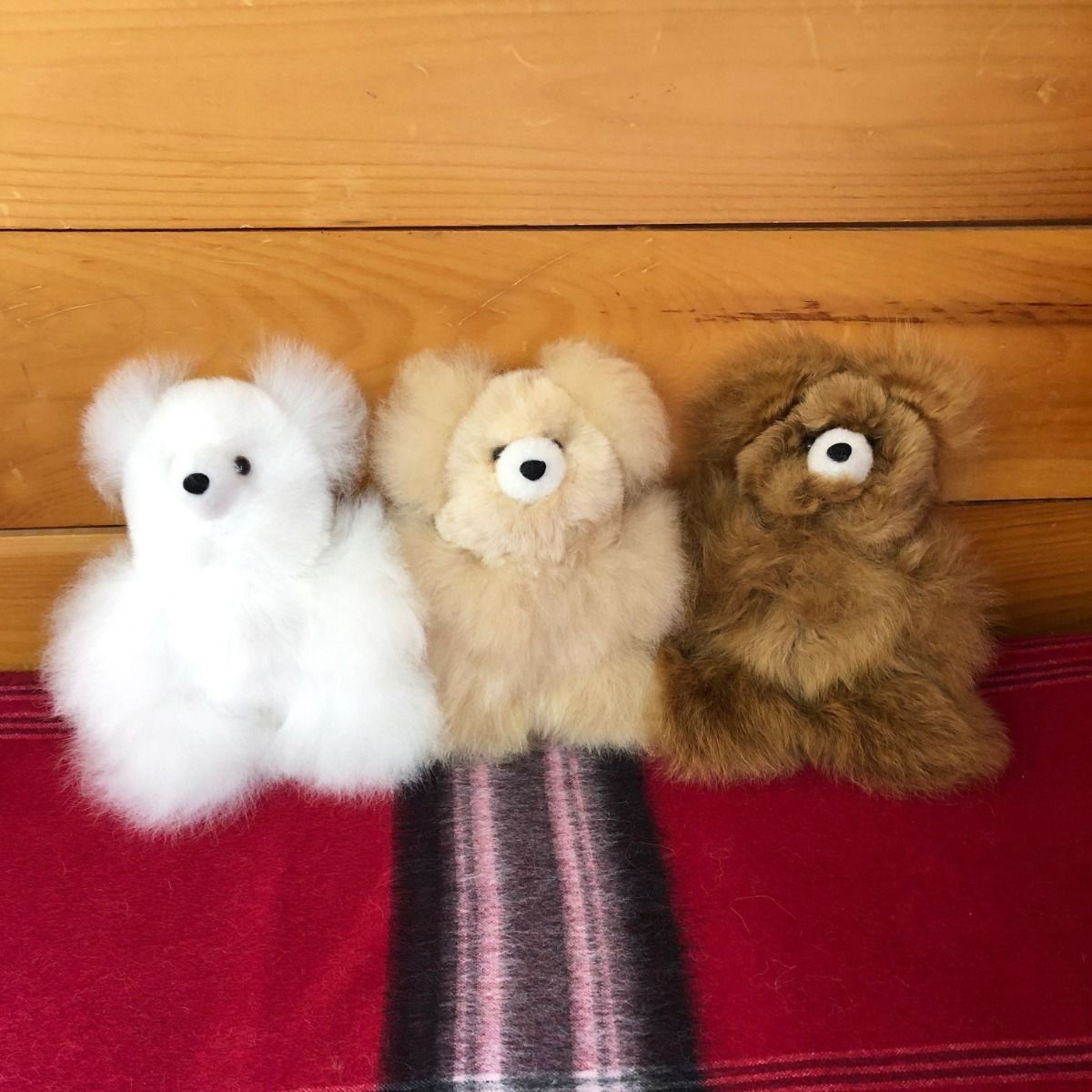 Teddy Bear Stuffies | pacaHarmony