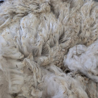 White alpaca fleece on a table