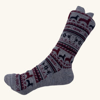 Gray sock with red and black patterns on a white background