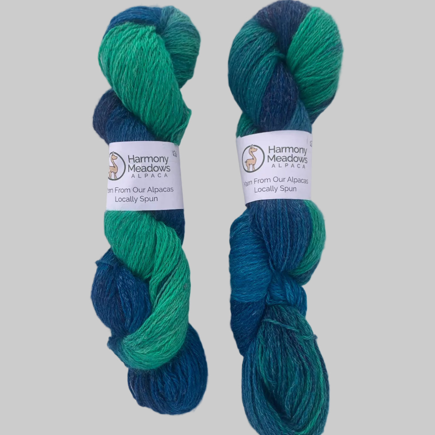 Two skeins of blue and green yarn with labels on a white background