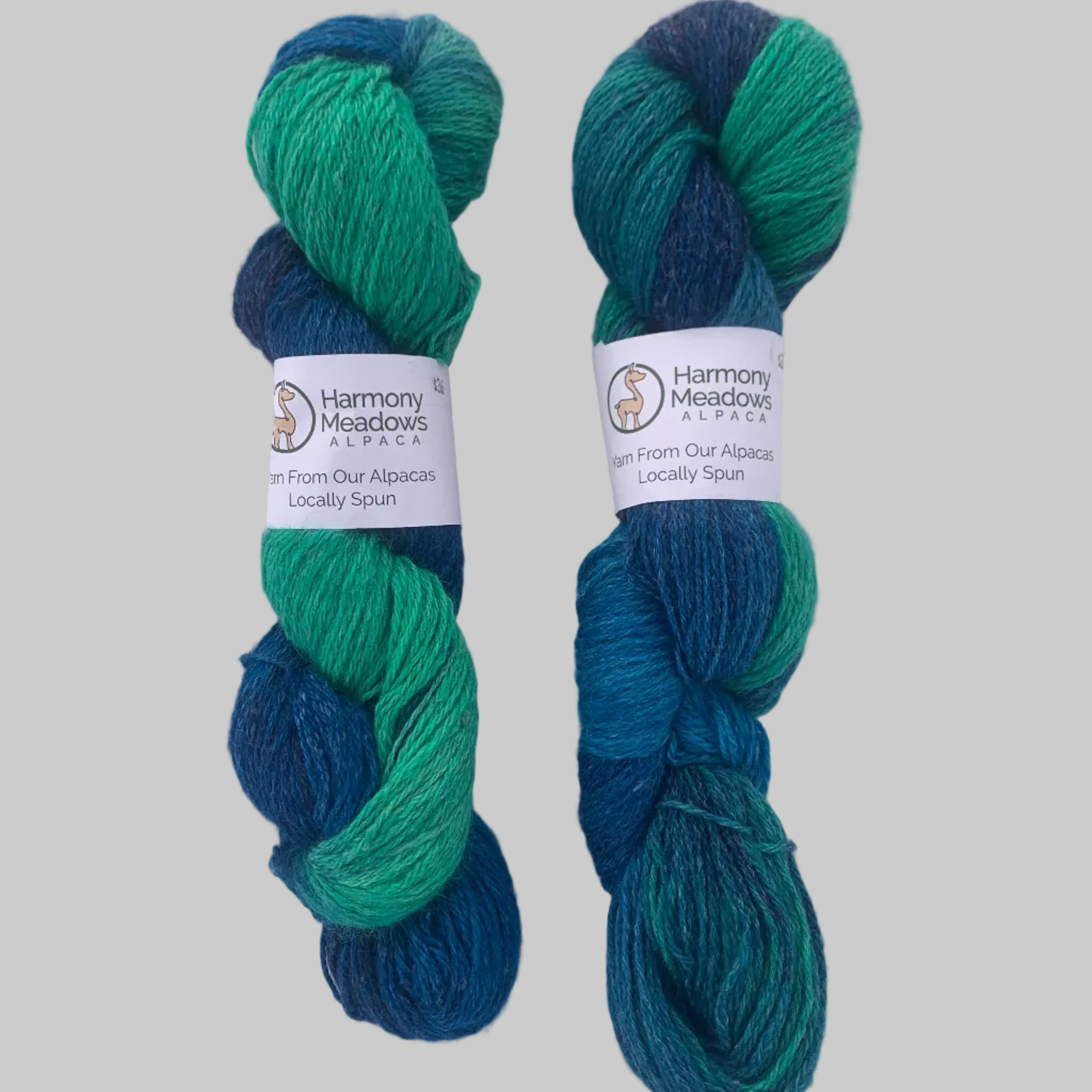 Two skeins of blue and green yarn with labels on a white background
