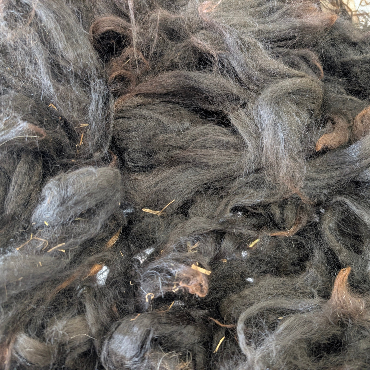 Close-up of black alpaca fibre