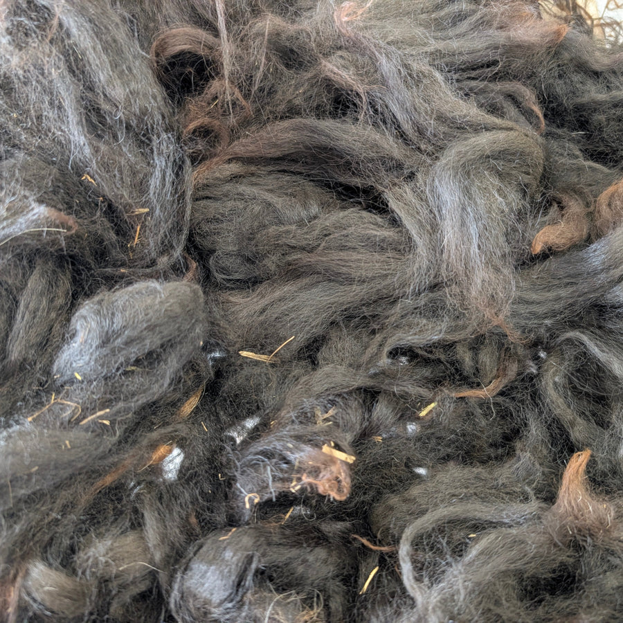 Close-up of black alpaca fibre