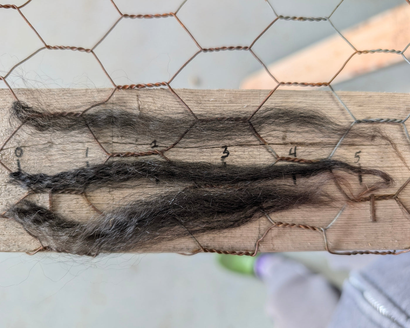 Three strands of black hair on a wooden board with chicken wire in the background