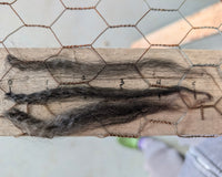 Three strands of black hair on a wooden board with chicken wire in the background