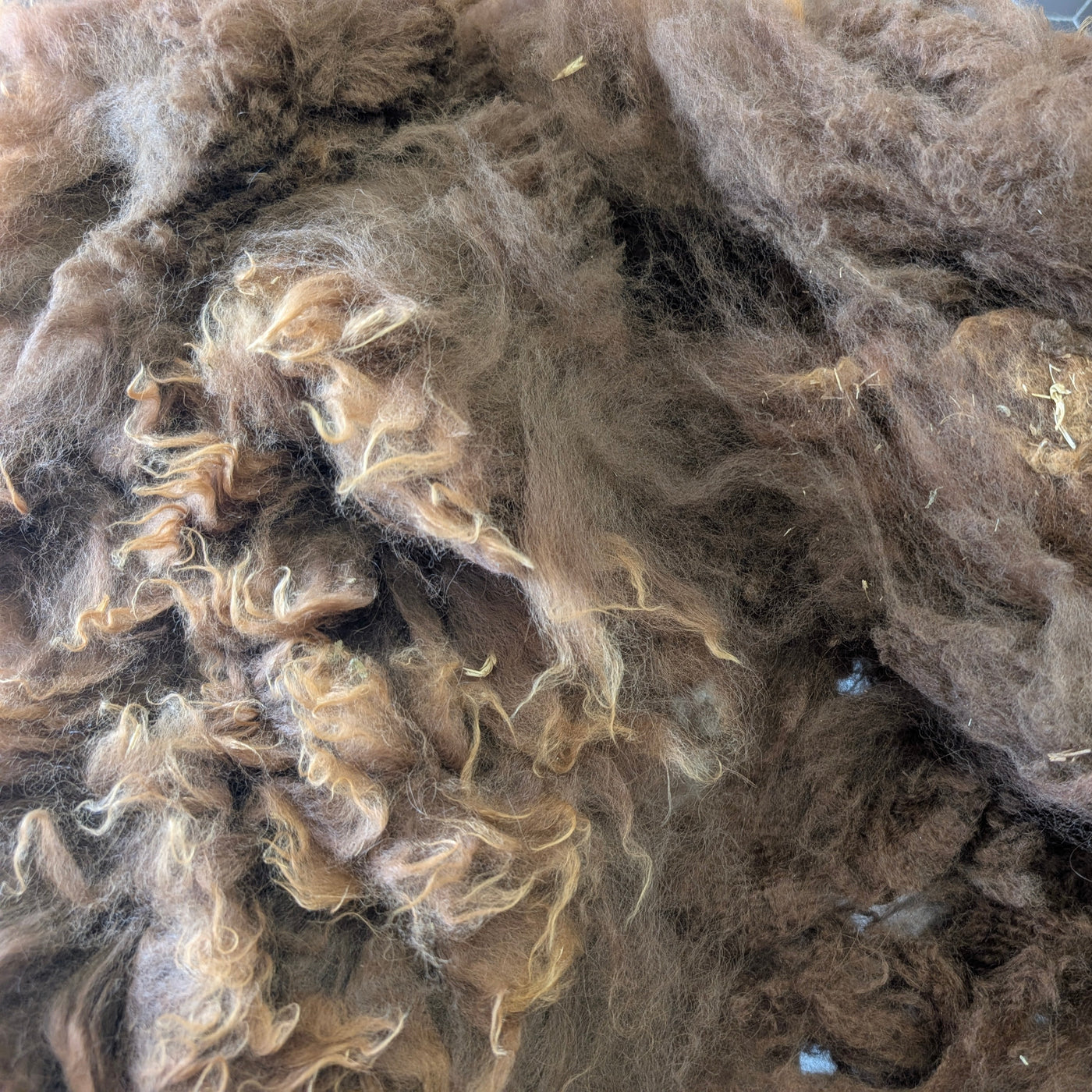 brown alpaca fleece