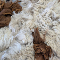 multicoloured alpaca fleece