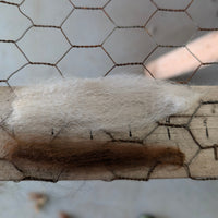 samples of white and brown alpaca fibre