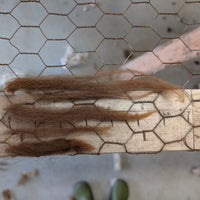 Hair strands on a hexagonal wire mesh