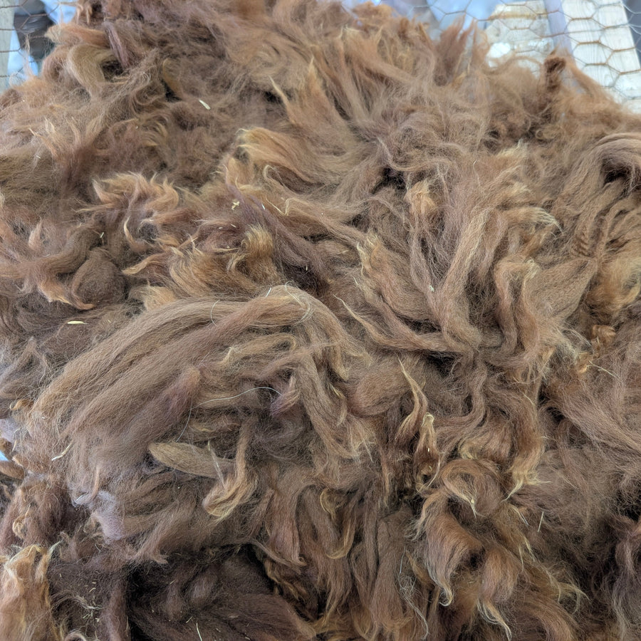 brown alpaca fibre
