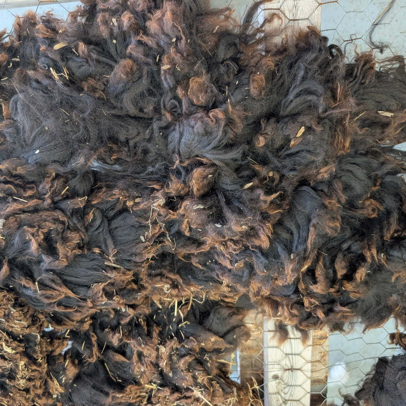 Close-up of dark brown fibers on a textured surface