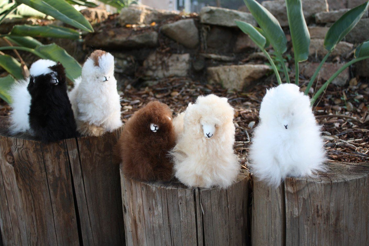 Standing Alpaca Stuffies - Natural Colours