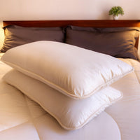 Alpaca Pillows