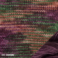 Paca Peds Yarn