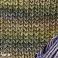 Paca Peds Yarn
