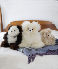Teddy Bear Stuffies